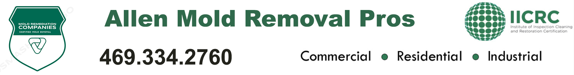 Allen Mold Removal Pros