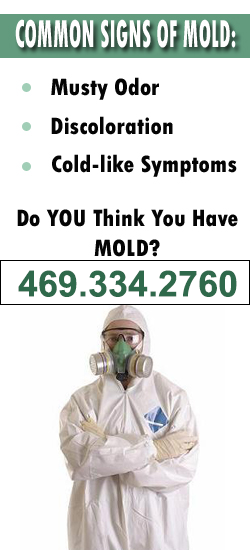 Allen Mold Remediation Contractor